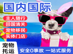 昆冈机场物流国际宠物托运 【国